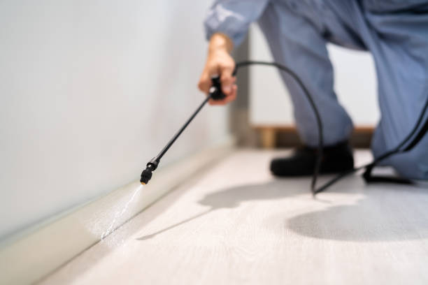 Licensed Pest Control service in Jonesboro, IL - Show Me Pest Control