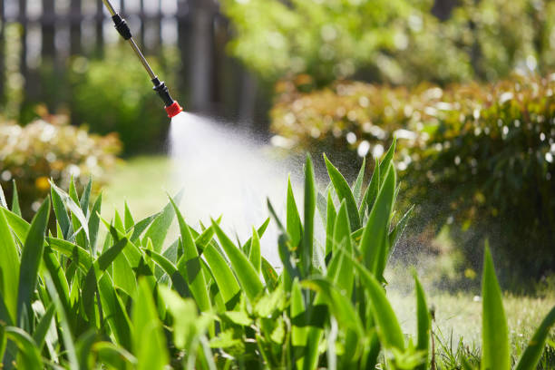 24/7 Emergency Wasp Removal experts in Jonesboro, IL