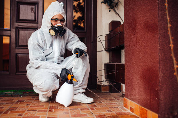 Reliable Wasp Removal contractor in Jonesboro, IL by Show Me Pest Control